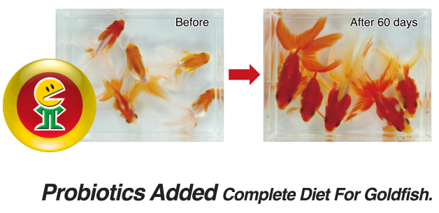 Probiotics Added Complete Diet For Goldfish.