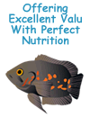 Offering Excellent Valu With Perfect Nutrition