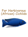 For Herbovorous(African)Cichlids