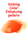 Sinking Color Enhancing pellets